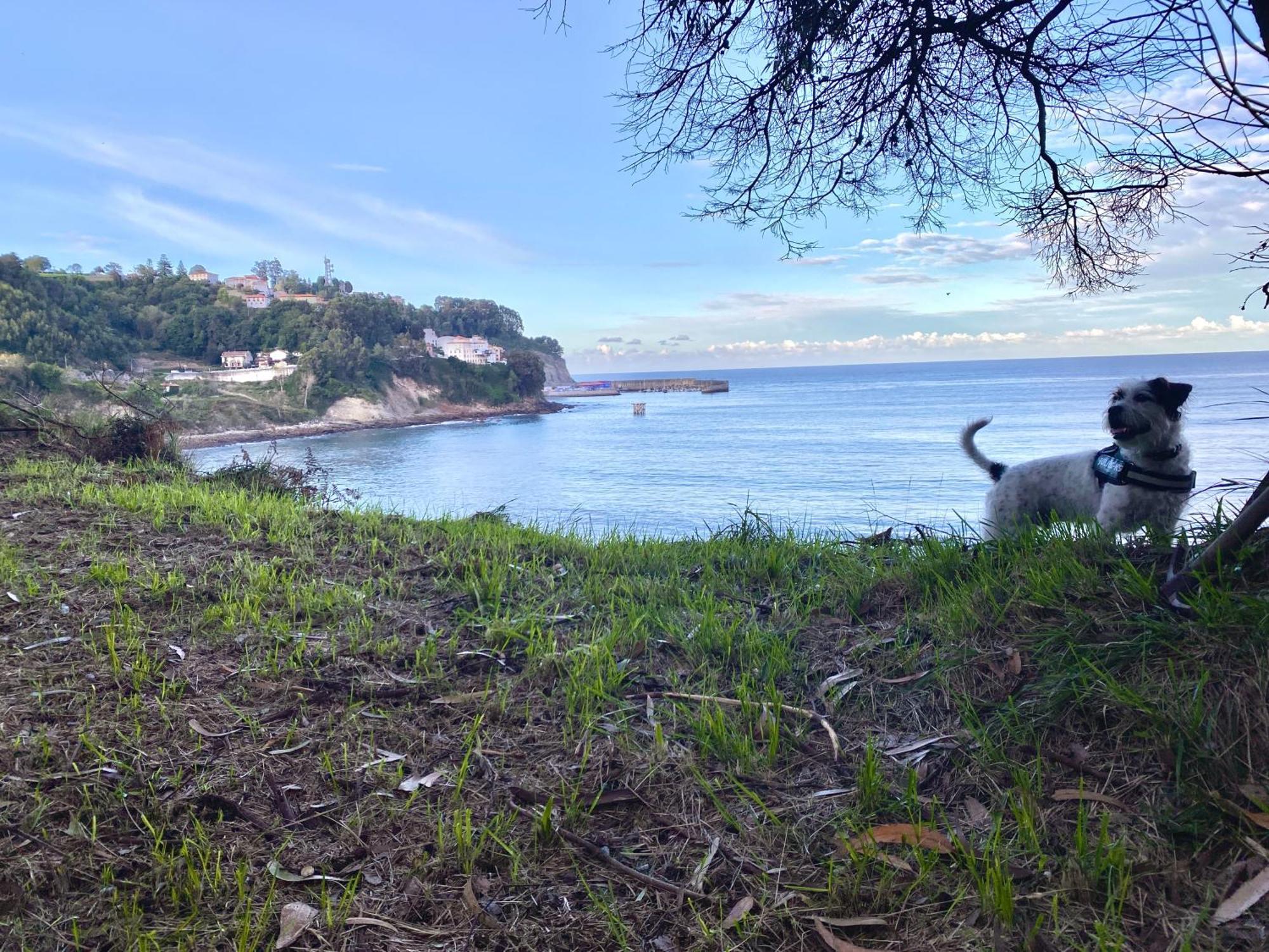 El Apartamentin De Lastres Ngoại thất bức ảnh